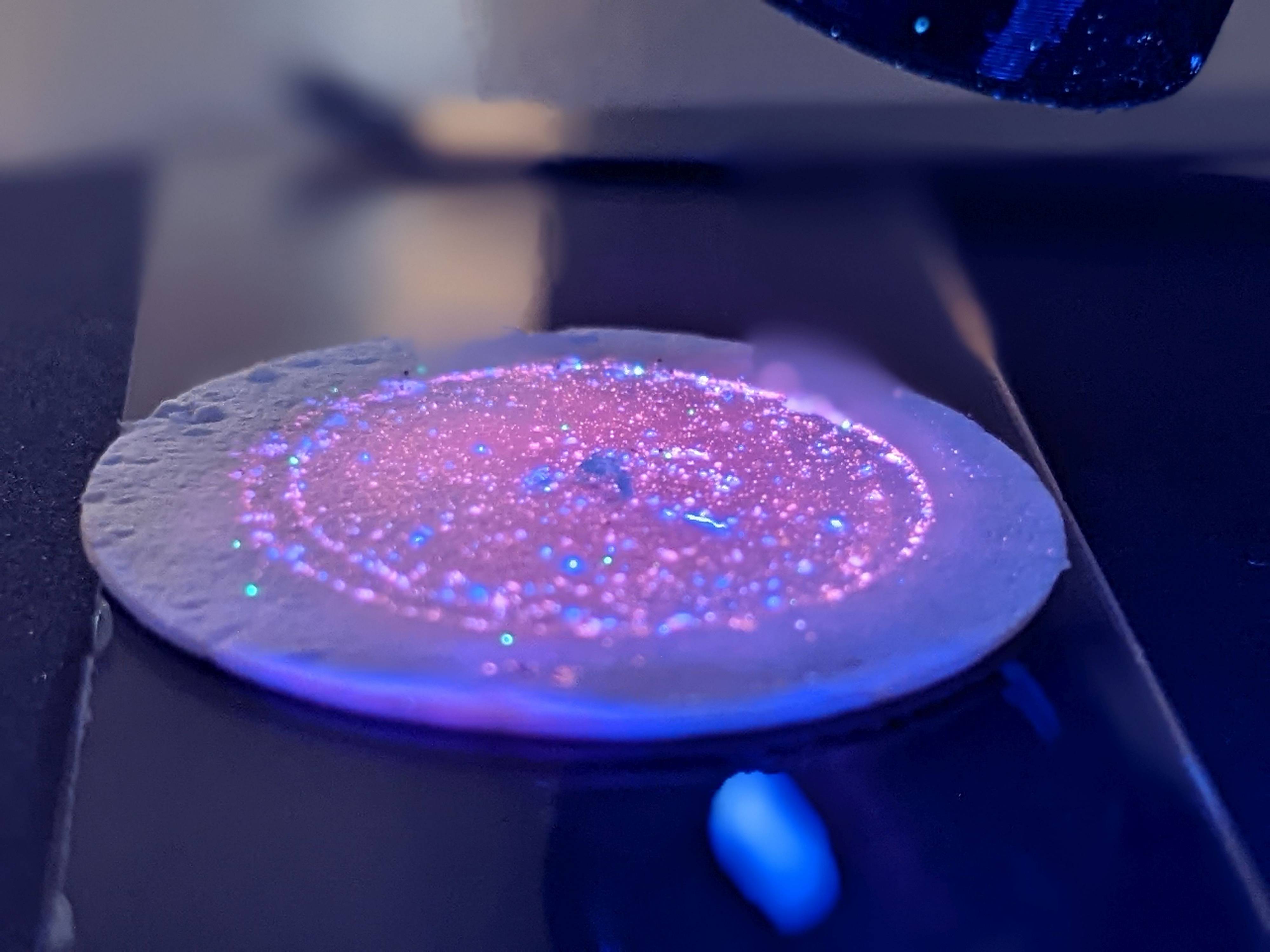 Analysis of marine microplastic extracted from sediment using vibrational spectroscopy. (Photo F. Oberhaensli/IAEA)