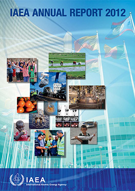 annual_report2012