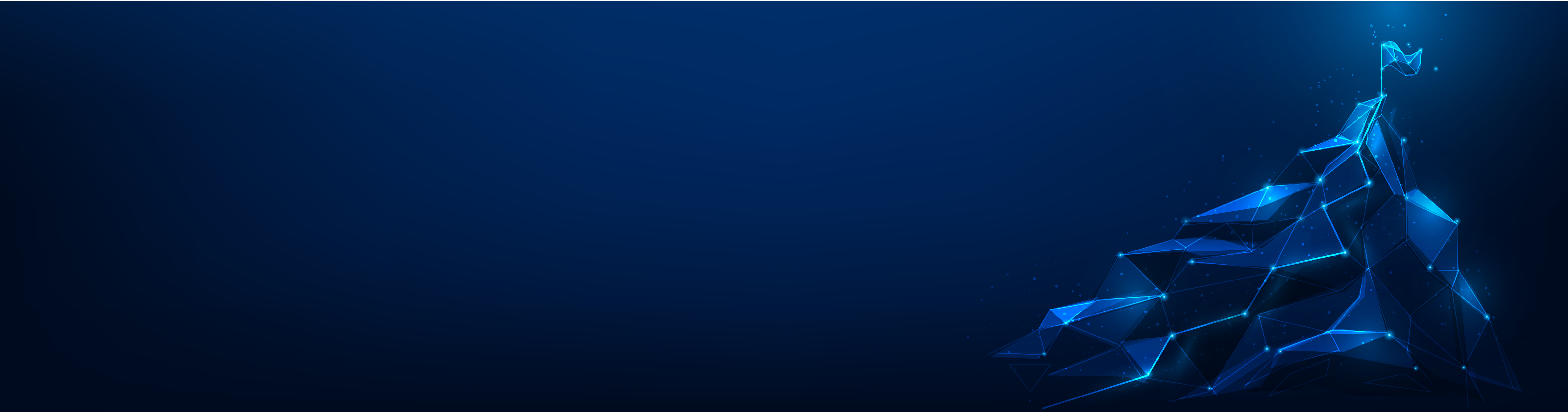 IAEA Nuclear Leadership Programme