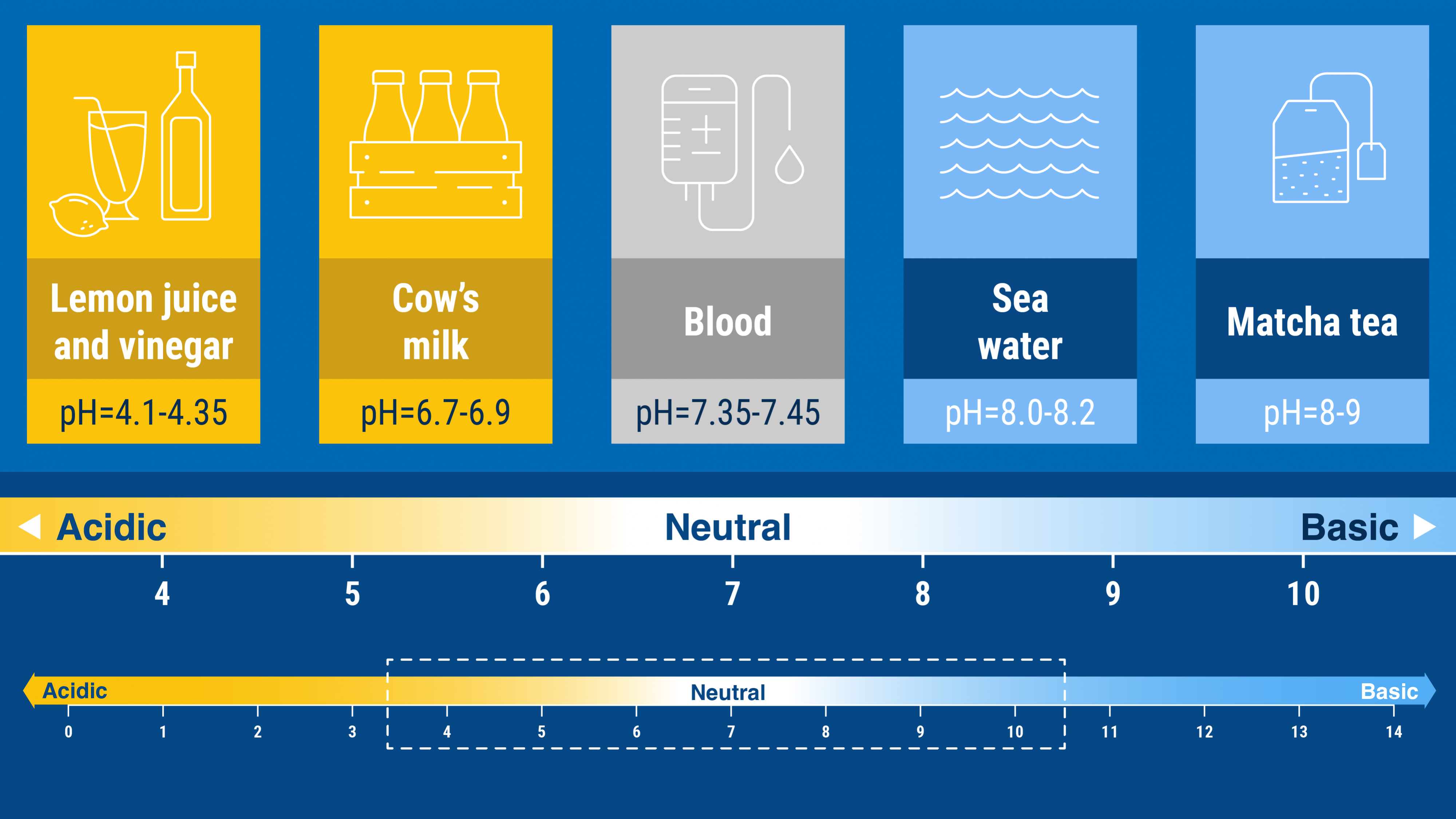 22.06_world_oceans_day_2022-what_is_ocean_acidification-v2_3.png