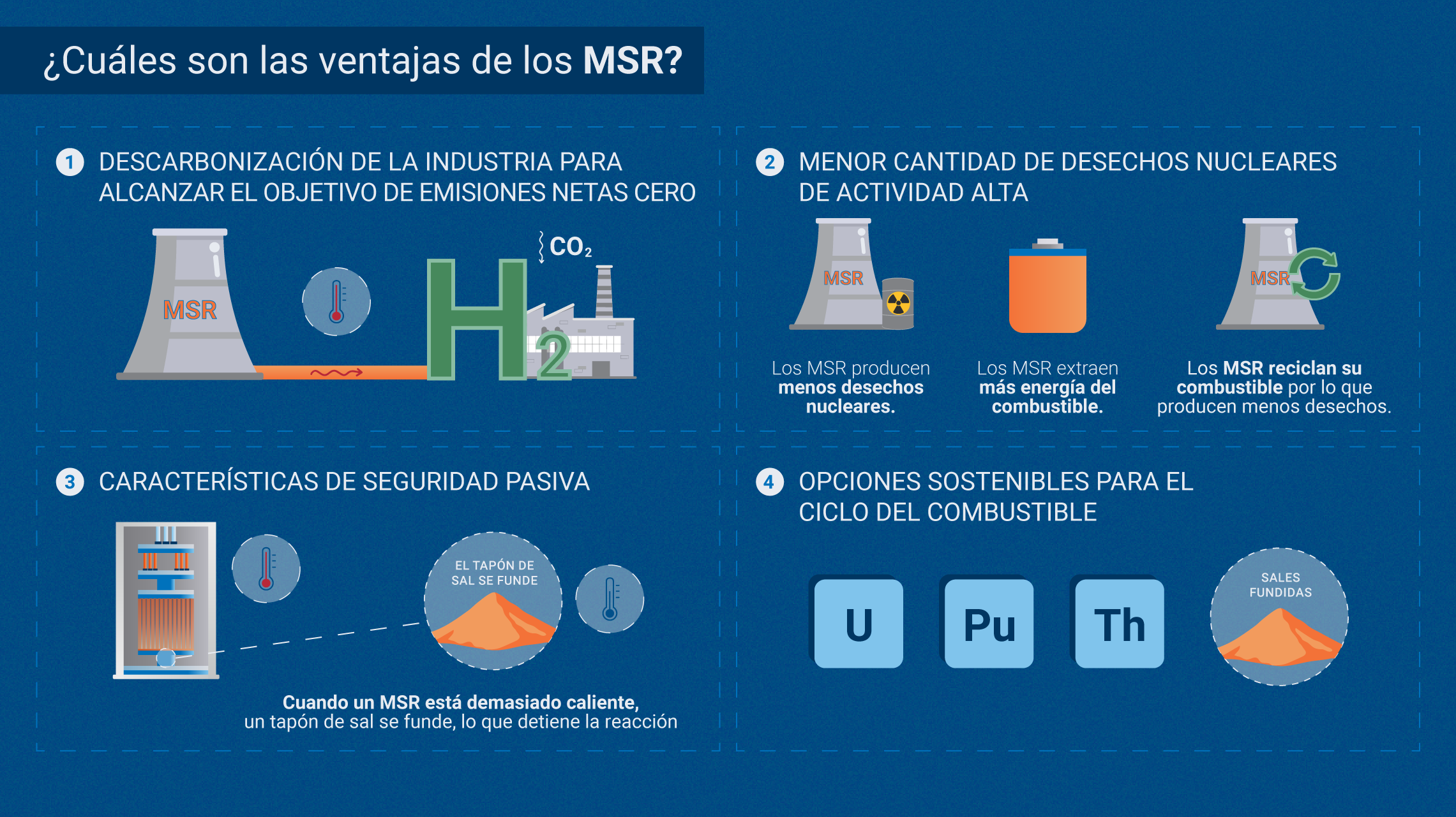 250128_what_are_msrs_-_es_-_3.png