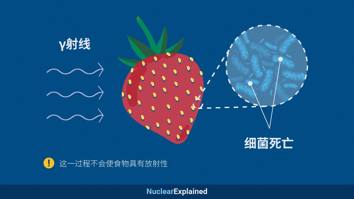 250128_what_is_food_irradiation_ch_-_2.png