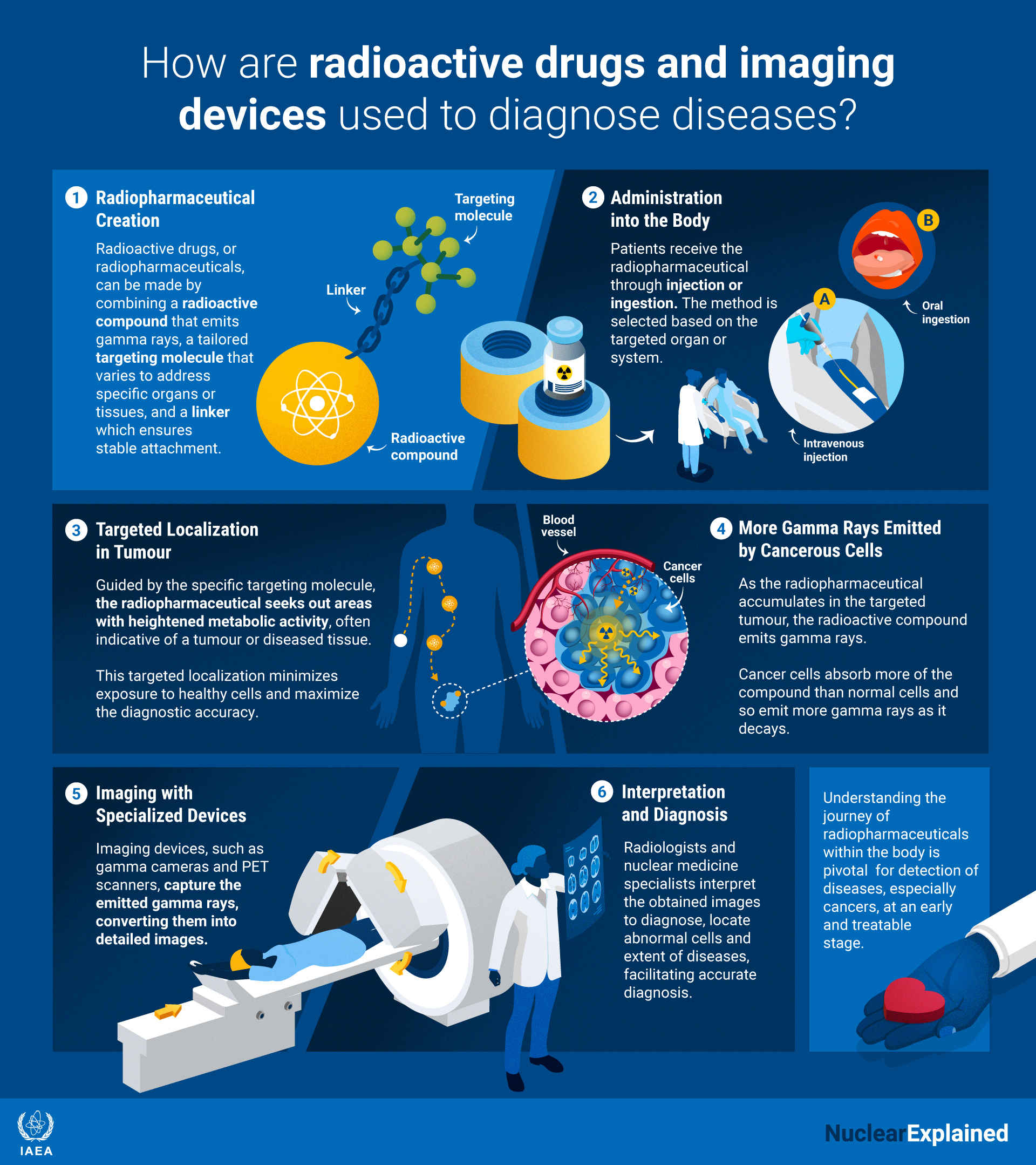 An infographic showing how radiopharmaceuticals are used in diagnosis An infographic showing how radiopharmaceuticals are used in diagnosis