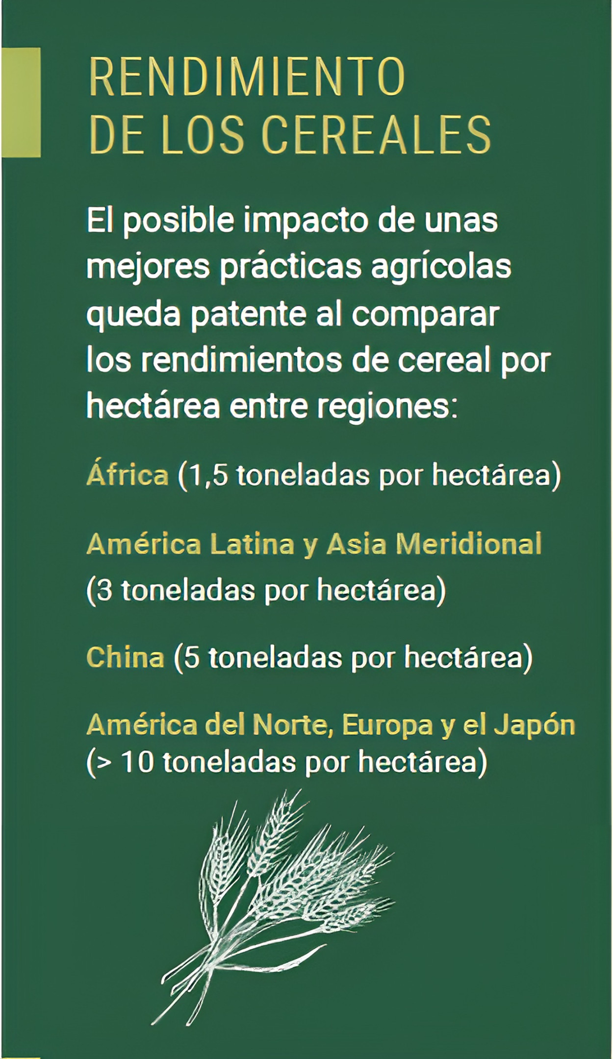 a4f_bulletin_es_-_yields_enhanced.jpg