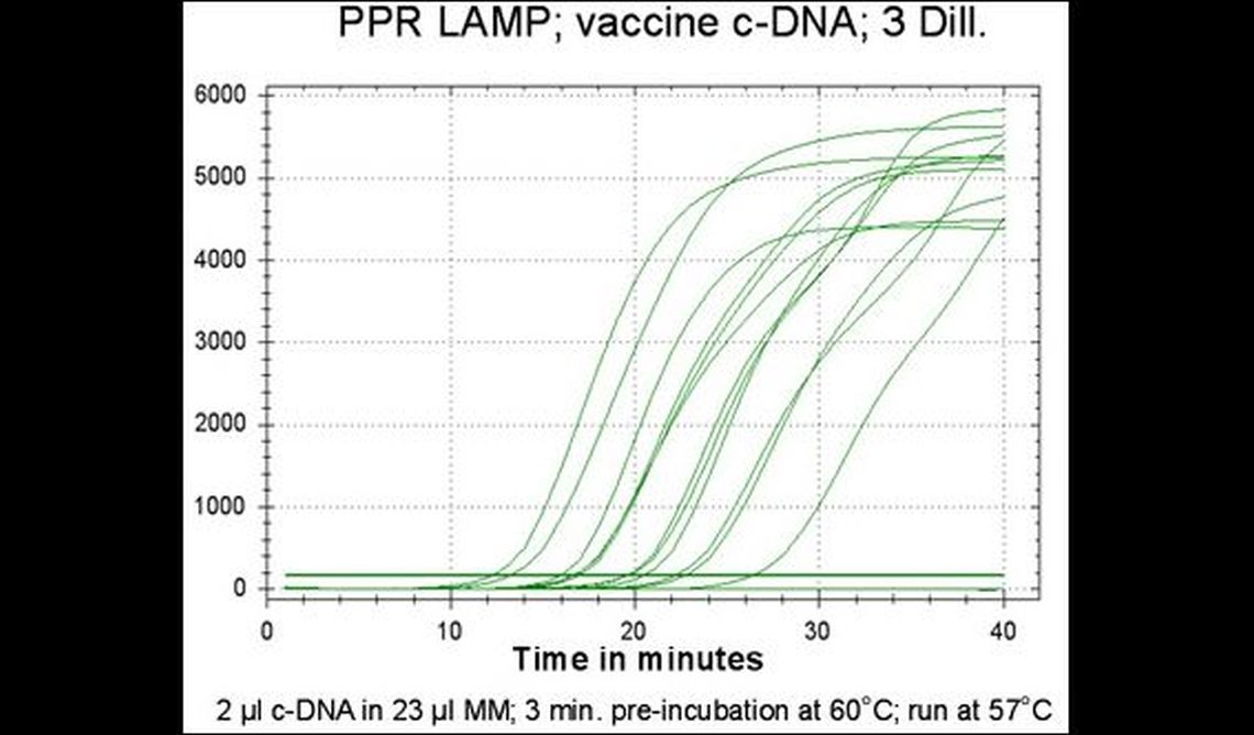 adapting_molecular_diagnostics_to_field_conditions_2_1.jpg