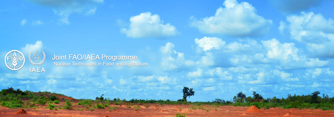 addressing-impact-climate-change-banner.jpg