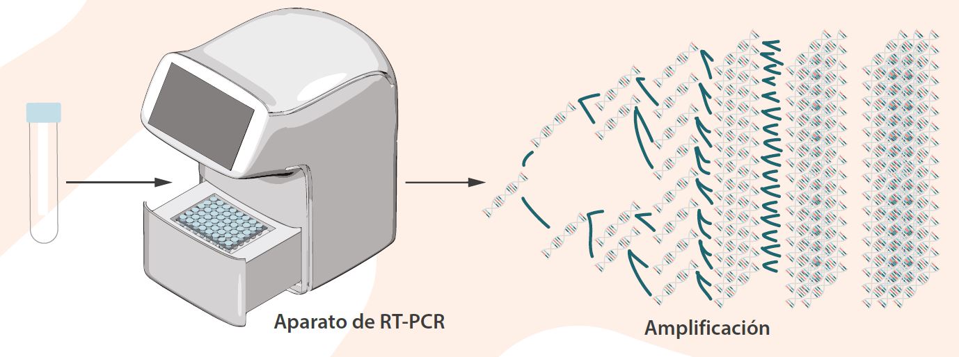 Aparato RT-PCR
