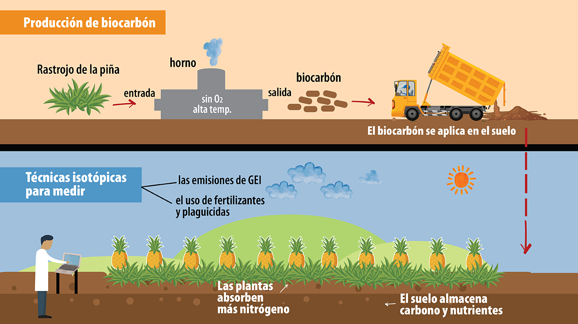 biochar11-sp-1140x640.jpg
