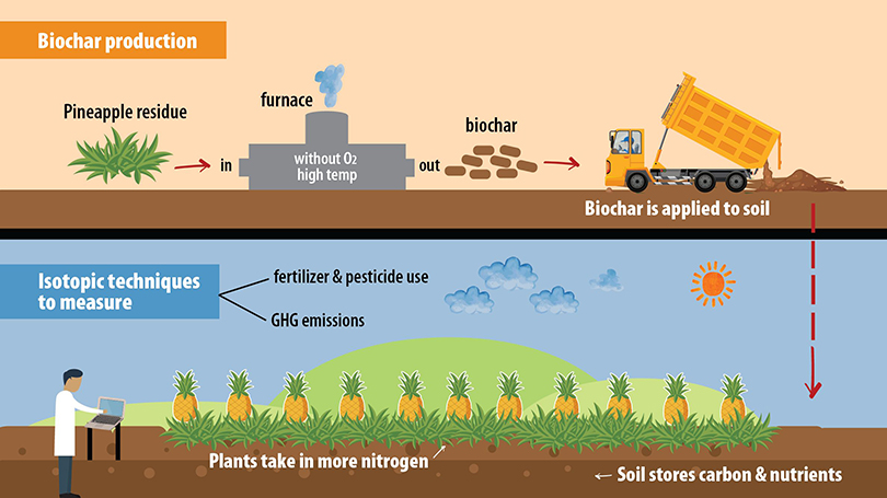 biochar11.jpg