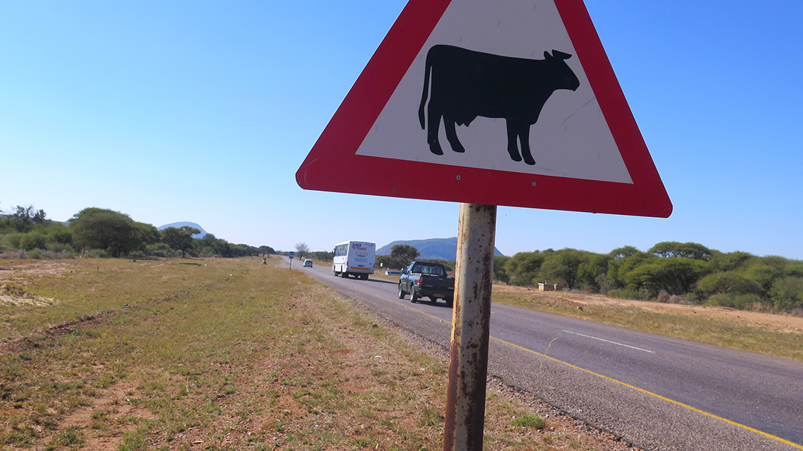 botswana1358_1140x640.jpg