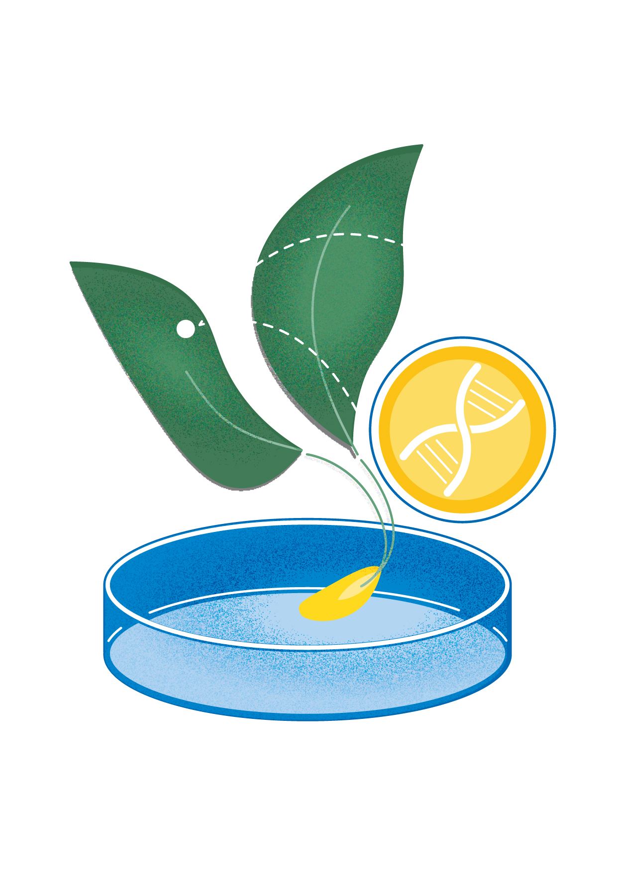 bulletin-cooperation_and_climate_change-website_1.jpg