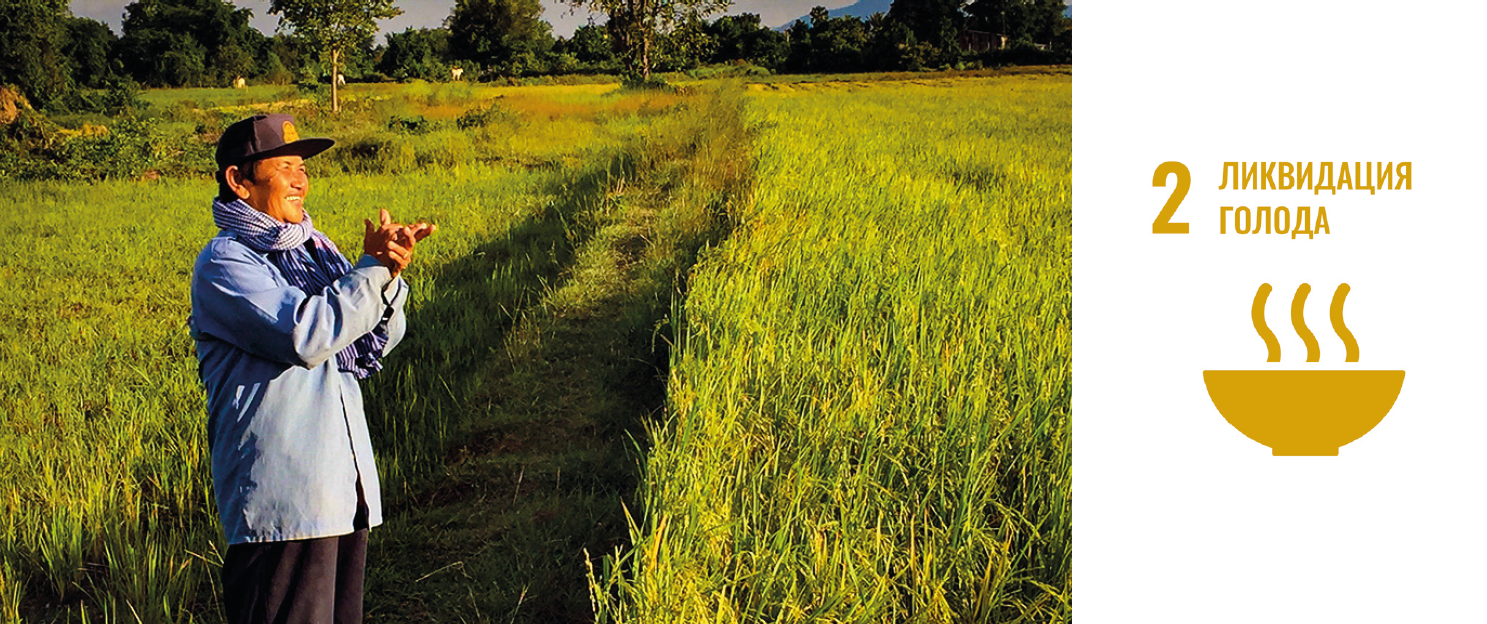 SDG sustainable development goals