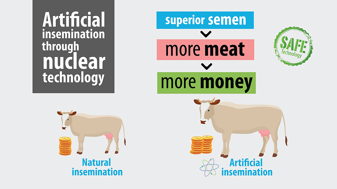 cambodia-infograph-1140x640.png