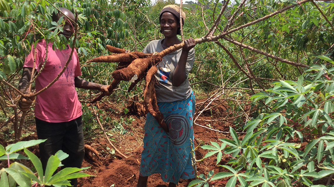 cassava-farmer-1140x640.jpg