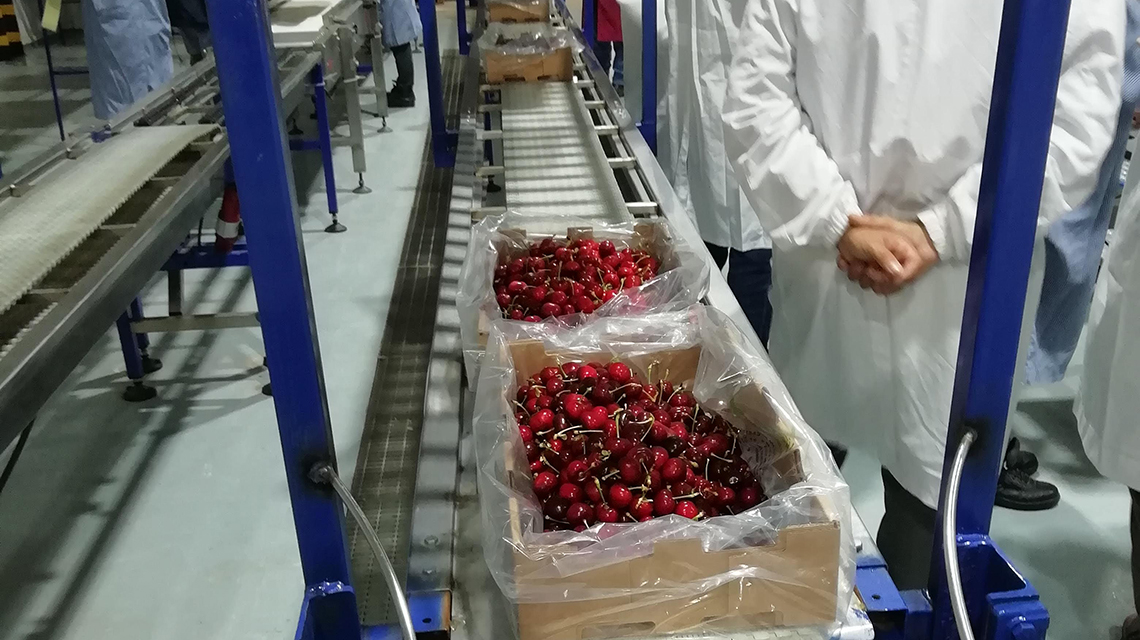 cherries-packaging-1140x640.jpg
