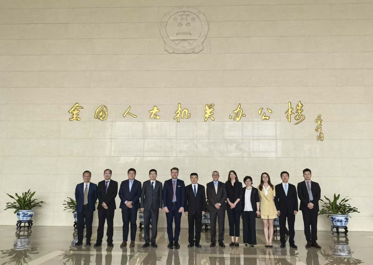 china_npc.jpeg
