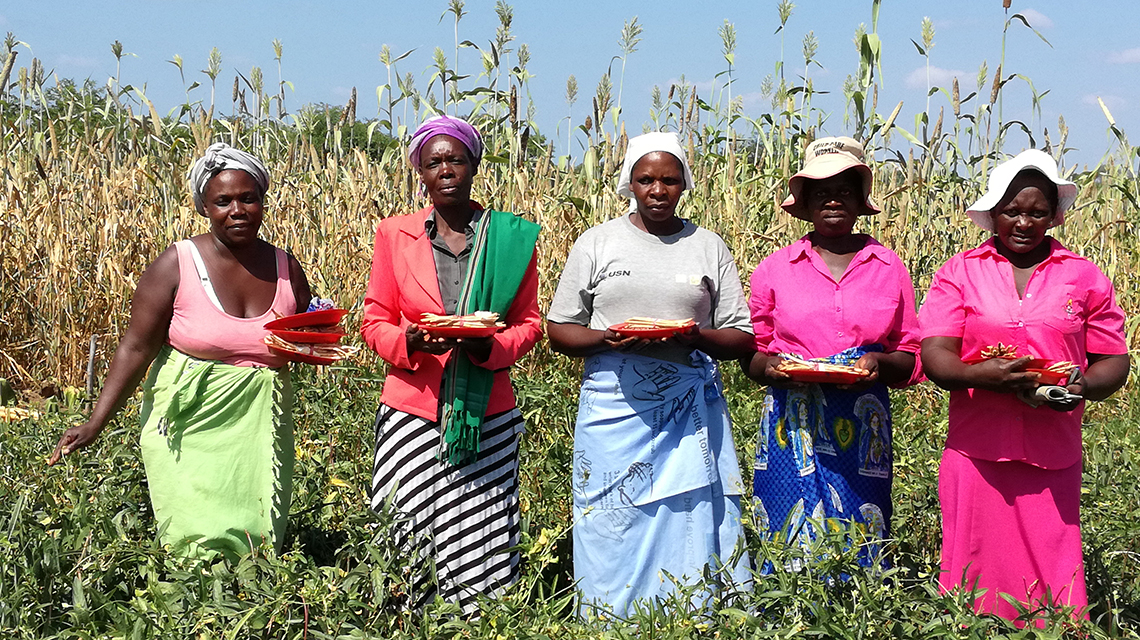 cowpea-farmers-1140x640.jpg