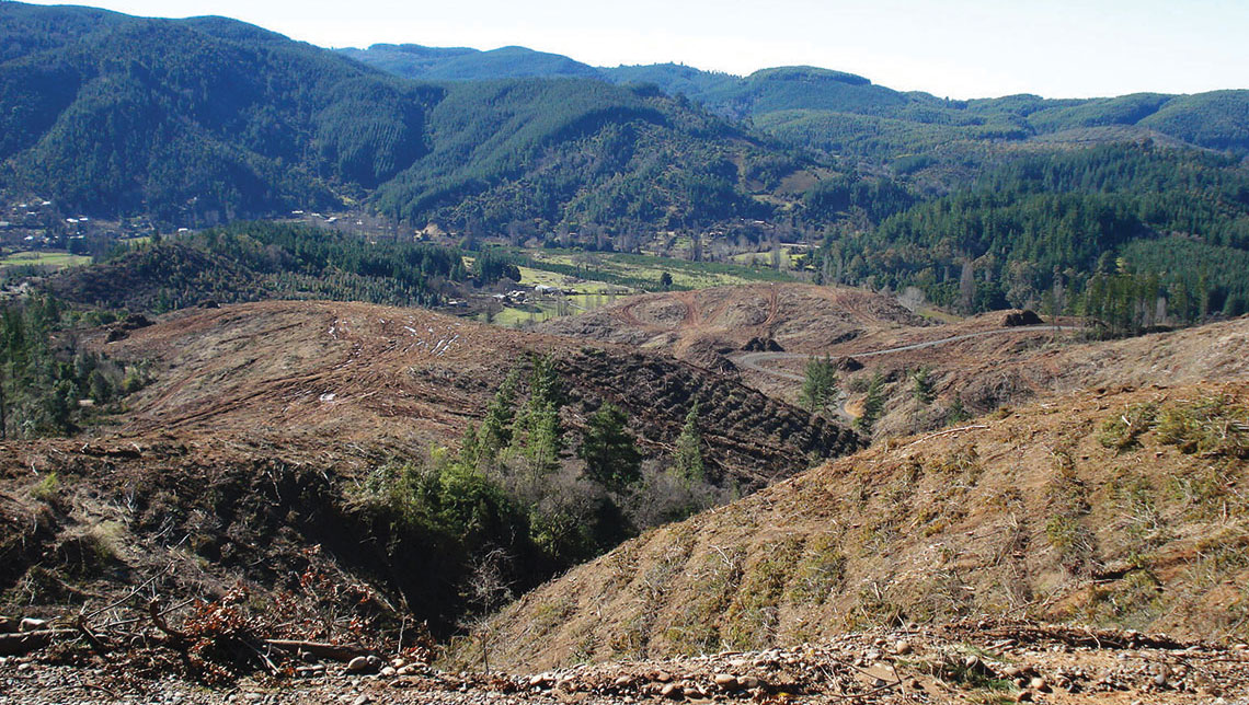 developing-soil-chile-1.jpg