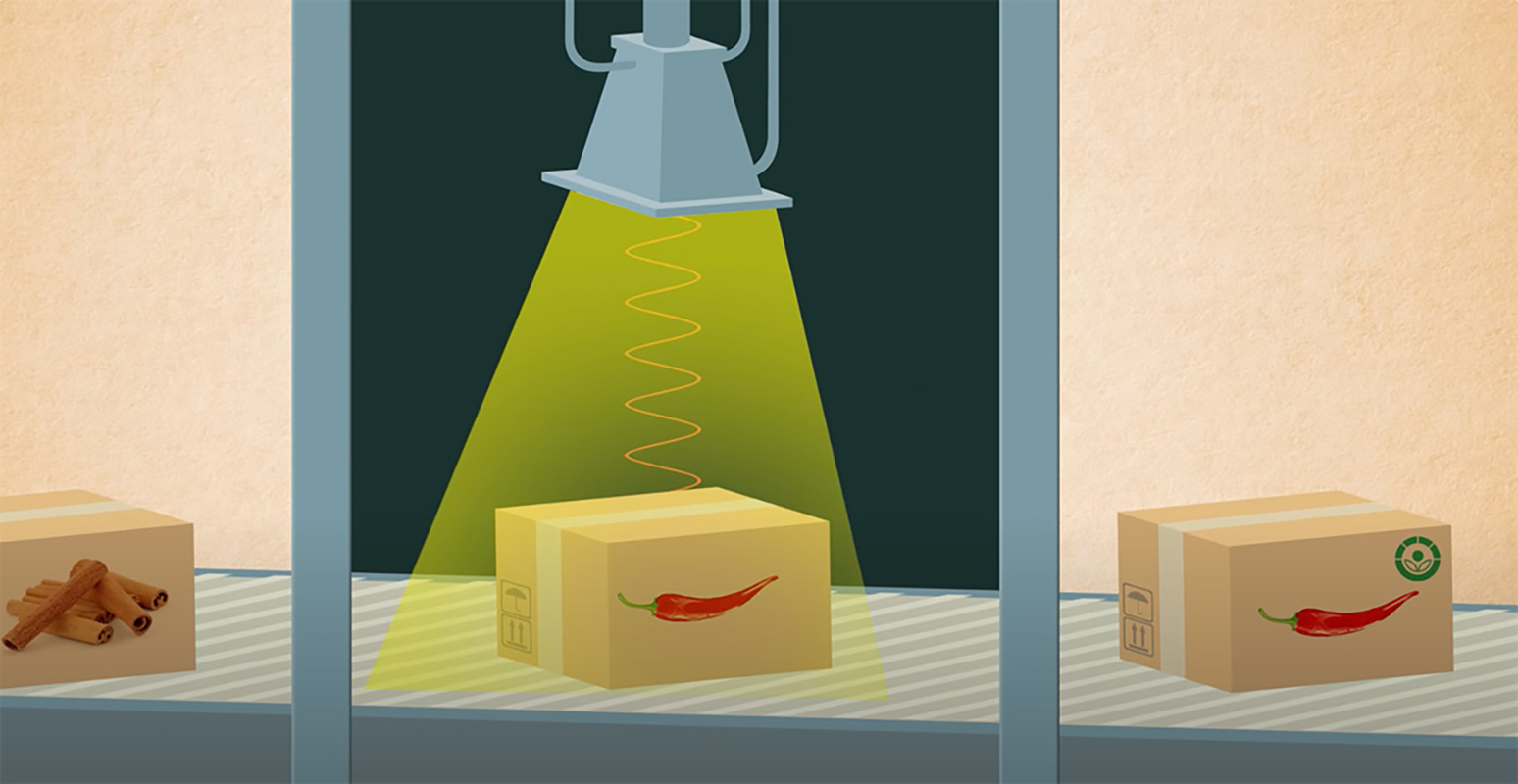 food_irradiation.jpg