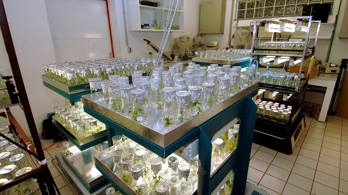 gc66-food-safety2-1140x640.jpg