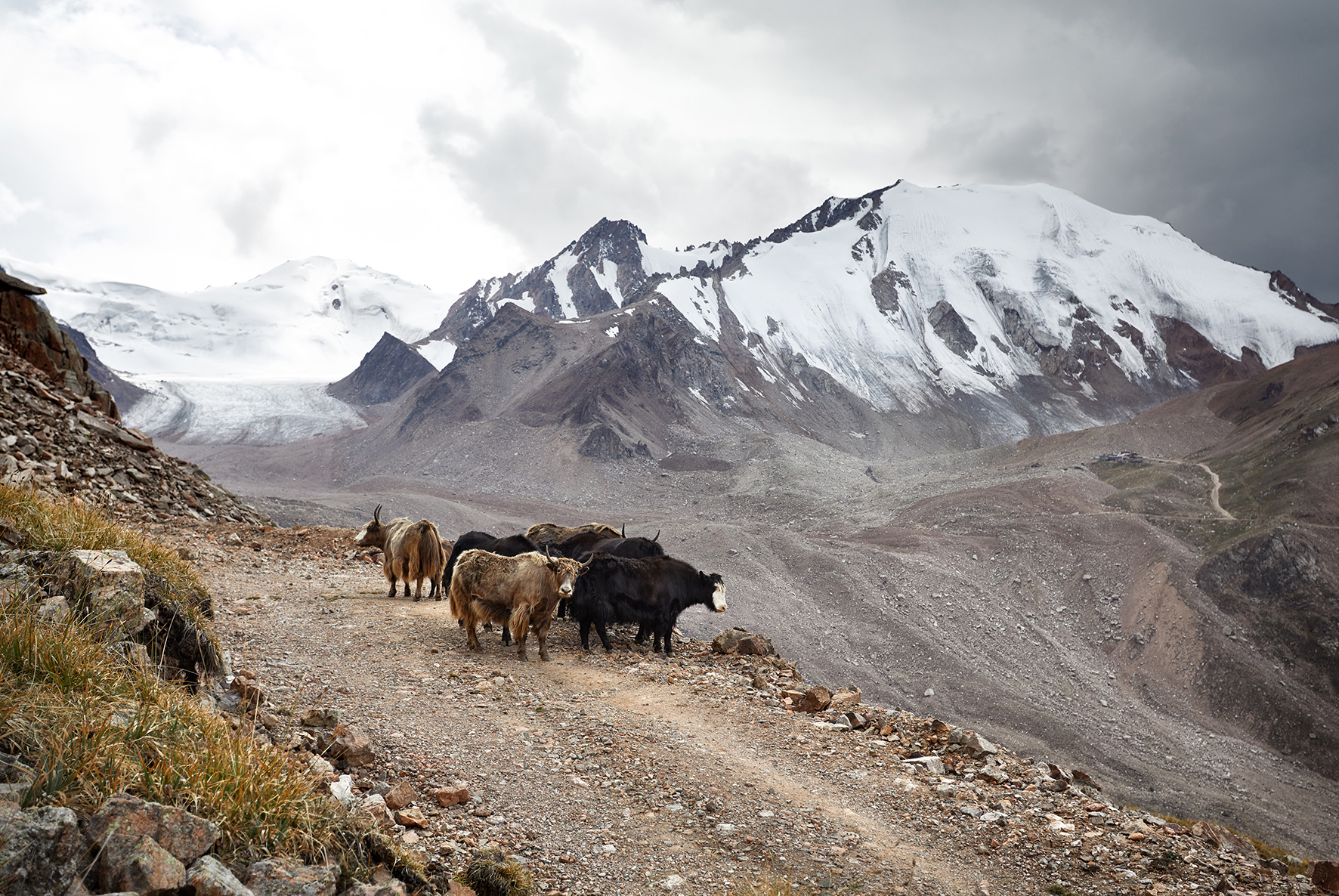 glaciers_centralasia.jpg