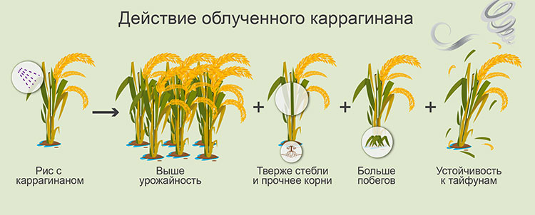graph_2.jpg