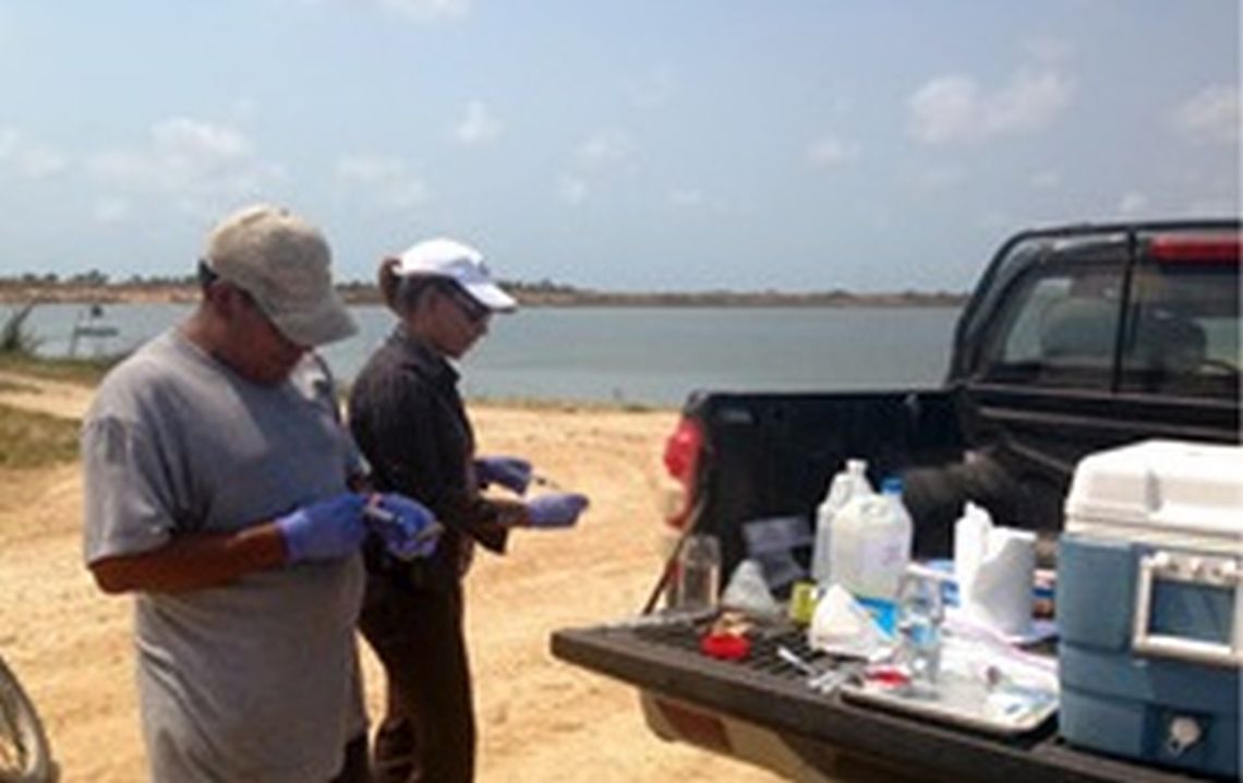 iaea_supports_belize_to_strengthen_their_animal_health_diagnoses_2.jpg