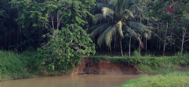 Riverbank