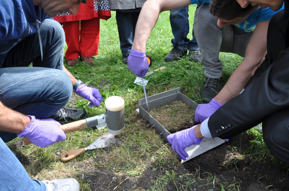 Surface-soil.jpg