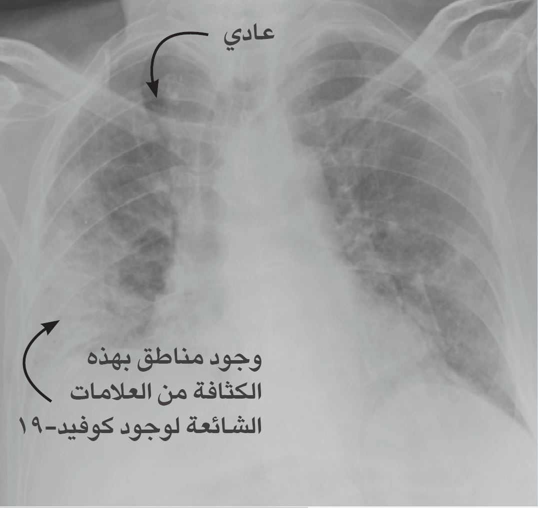 imaging-arabic1.jpg