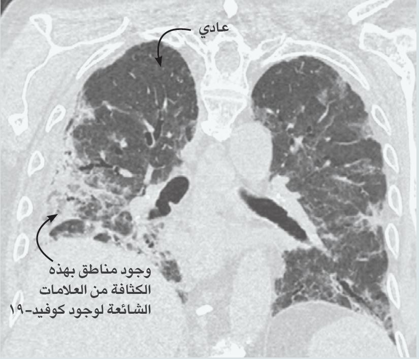 imaging-arabic2.jpg