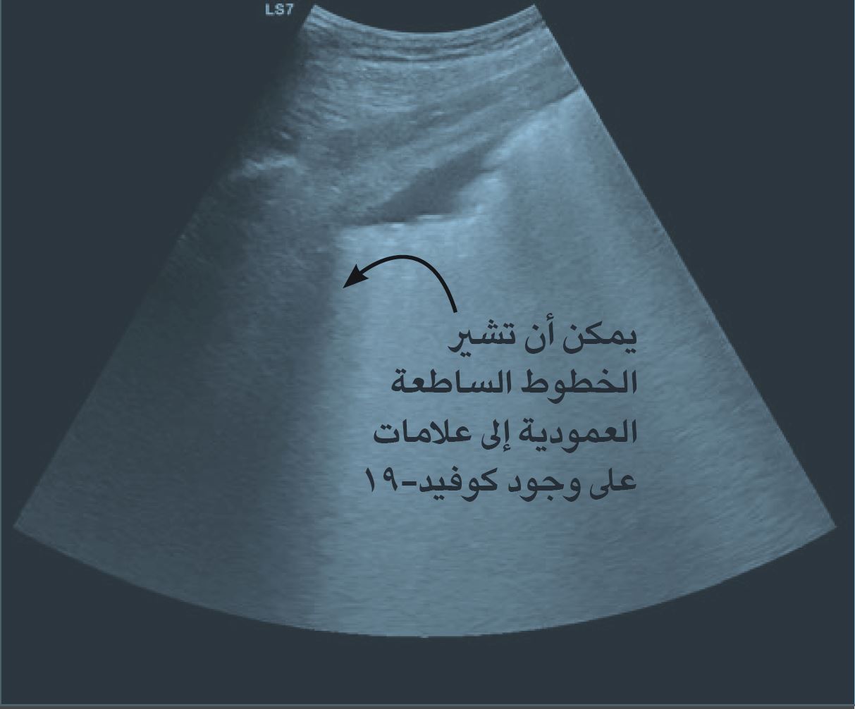 imaging-arabic3.jpg