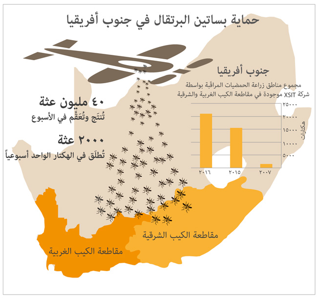 infographic-mothsrelease-ar_653x609.jpg