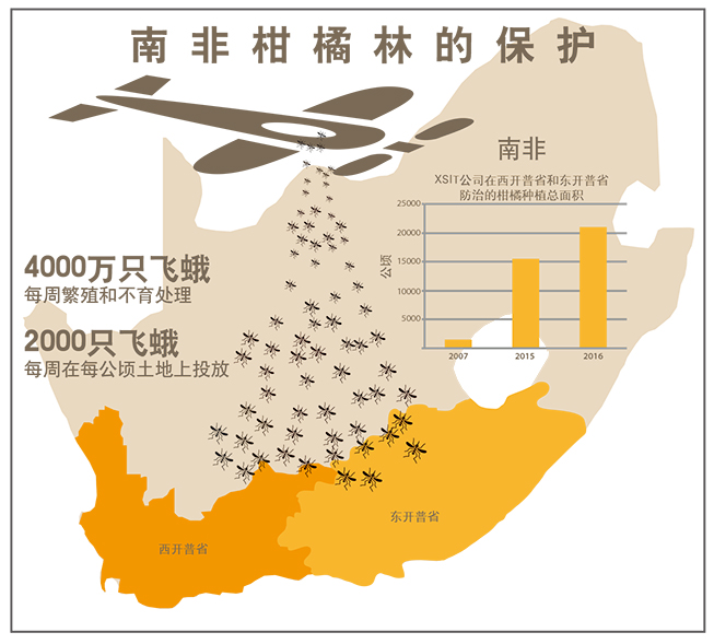infographic-mothsrelease-ch_653x589.jpg