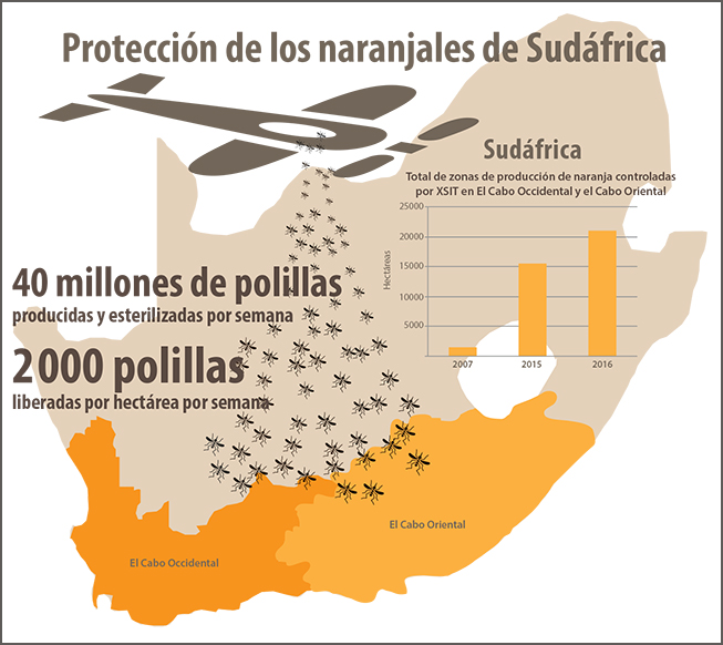 infographic-mothsrelease-sp_653x582.jpg