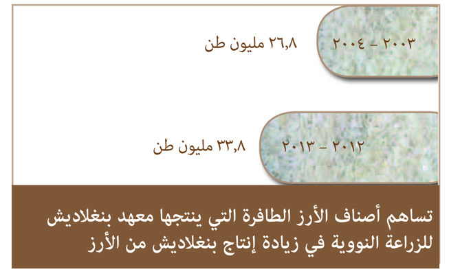 infographic_rice2-ar-653x402.jpg