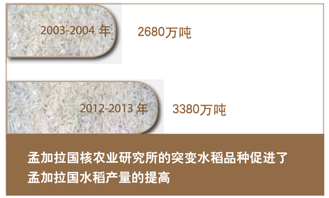 infographic_rice2-ch-653x394.jpg