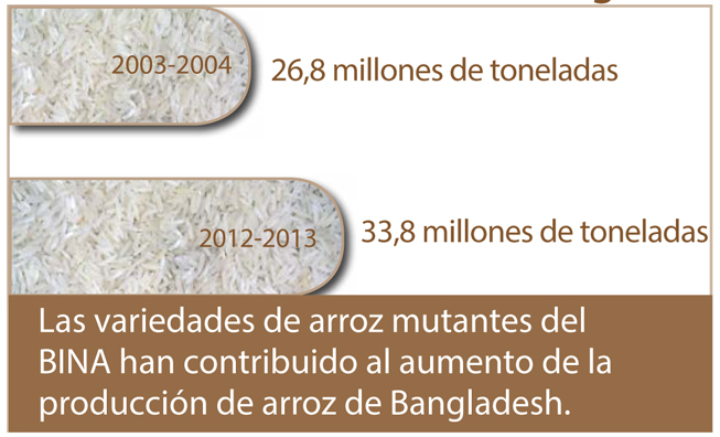 infographic_rice2-sp-653x396.jpg