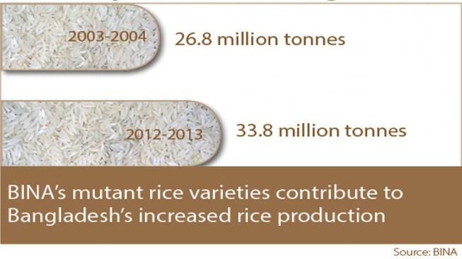 infographic_rice2.jpg