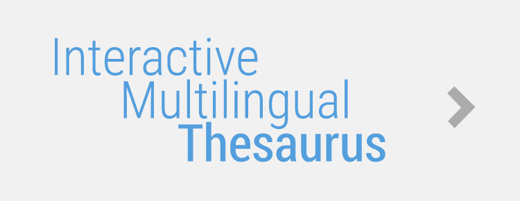 interactive multilingual thesaurus