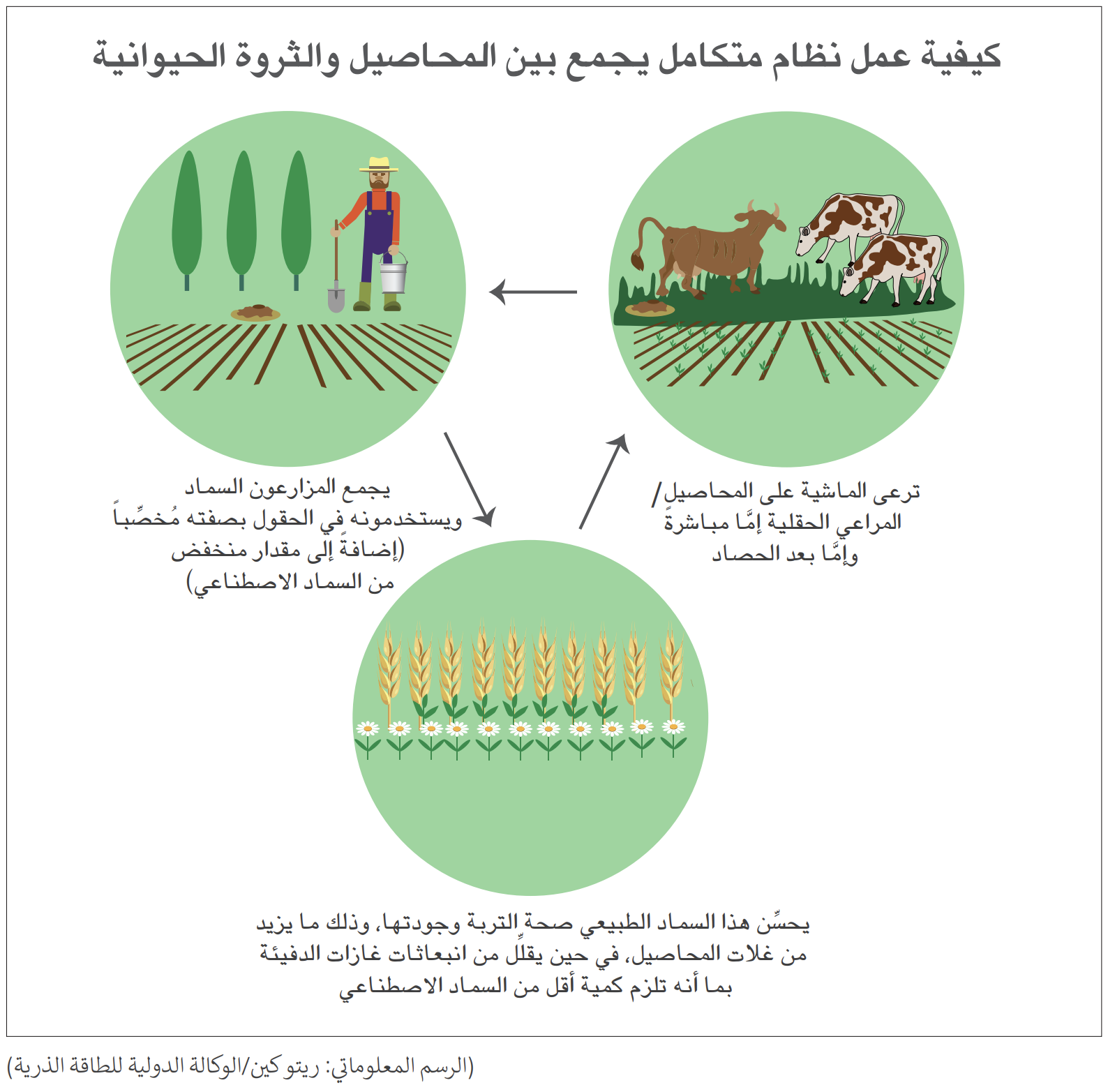 livestock-system_ar-1140x640.png