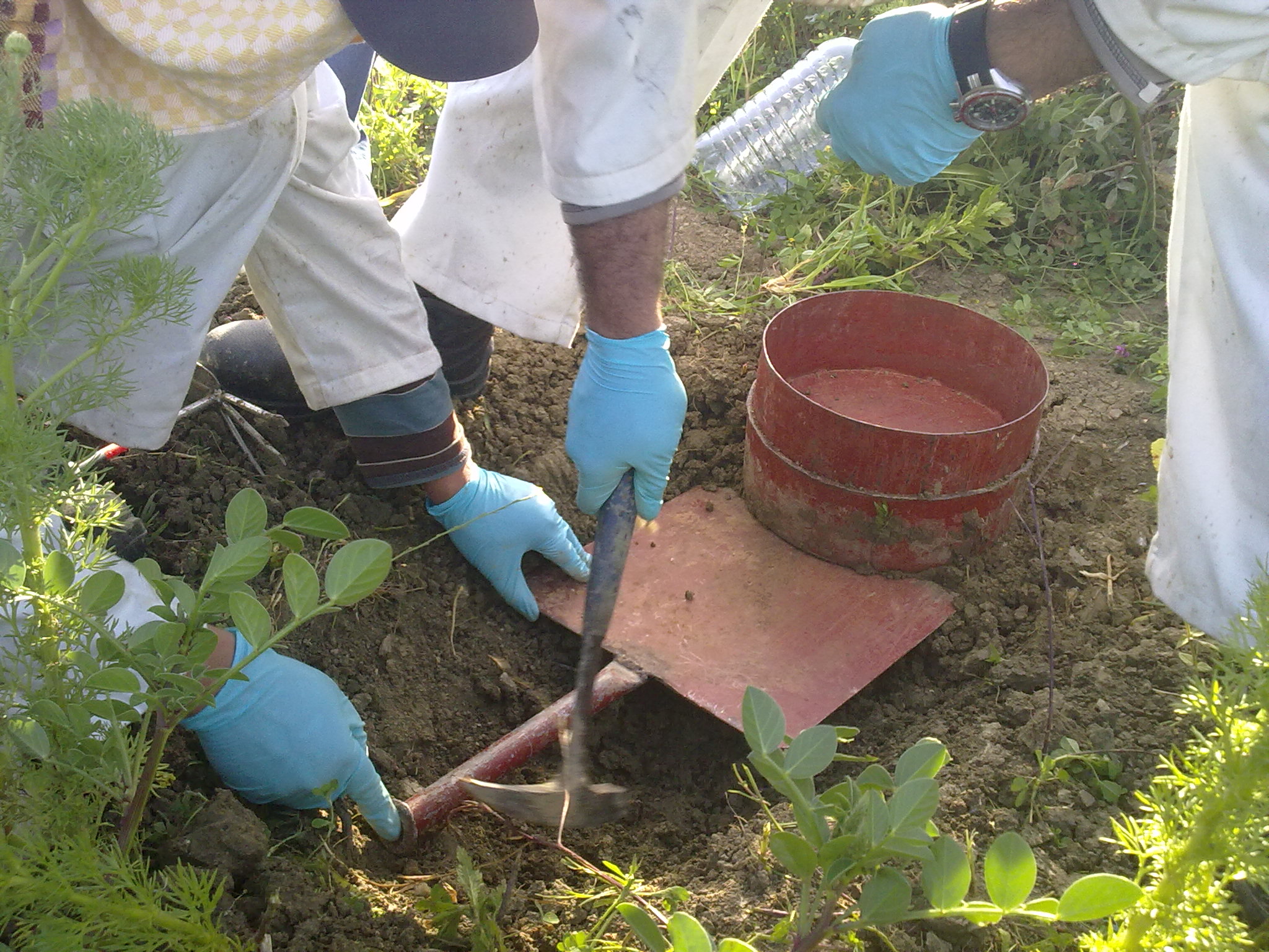 morocco_soil_erosion_-_sample_taking_soil_erosion.jpg