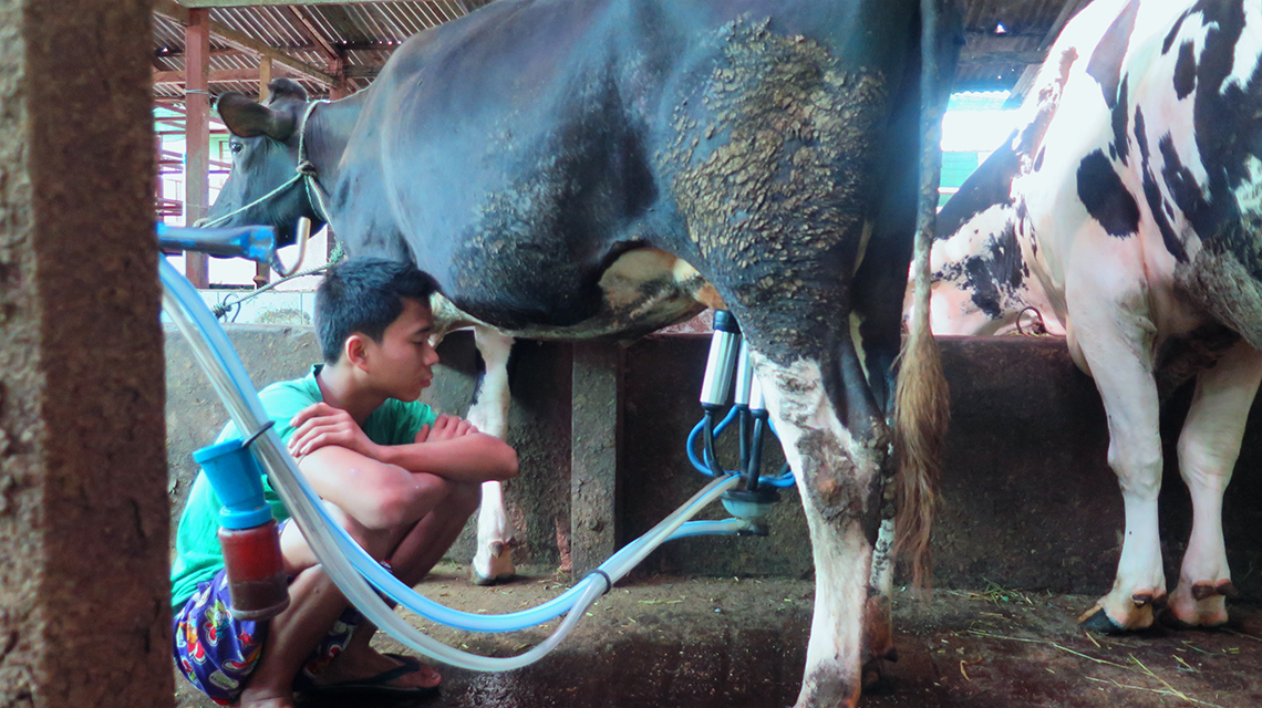 myanmar3491_1140x640.jpg