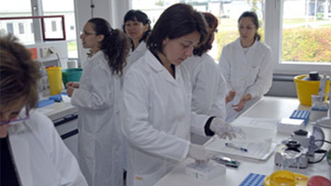 nafa-aphl-1.jpg
