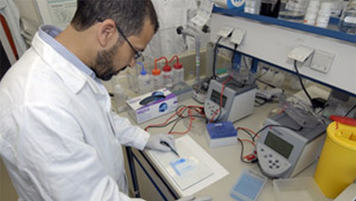nafa-aphl-3.jpg