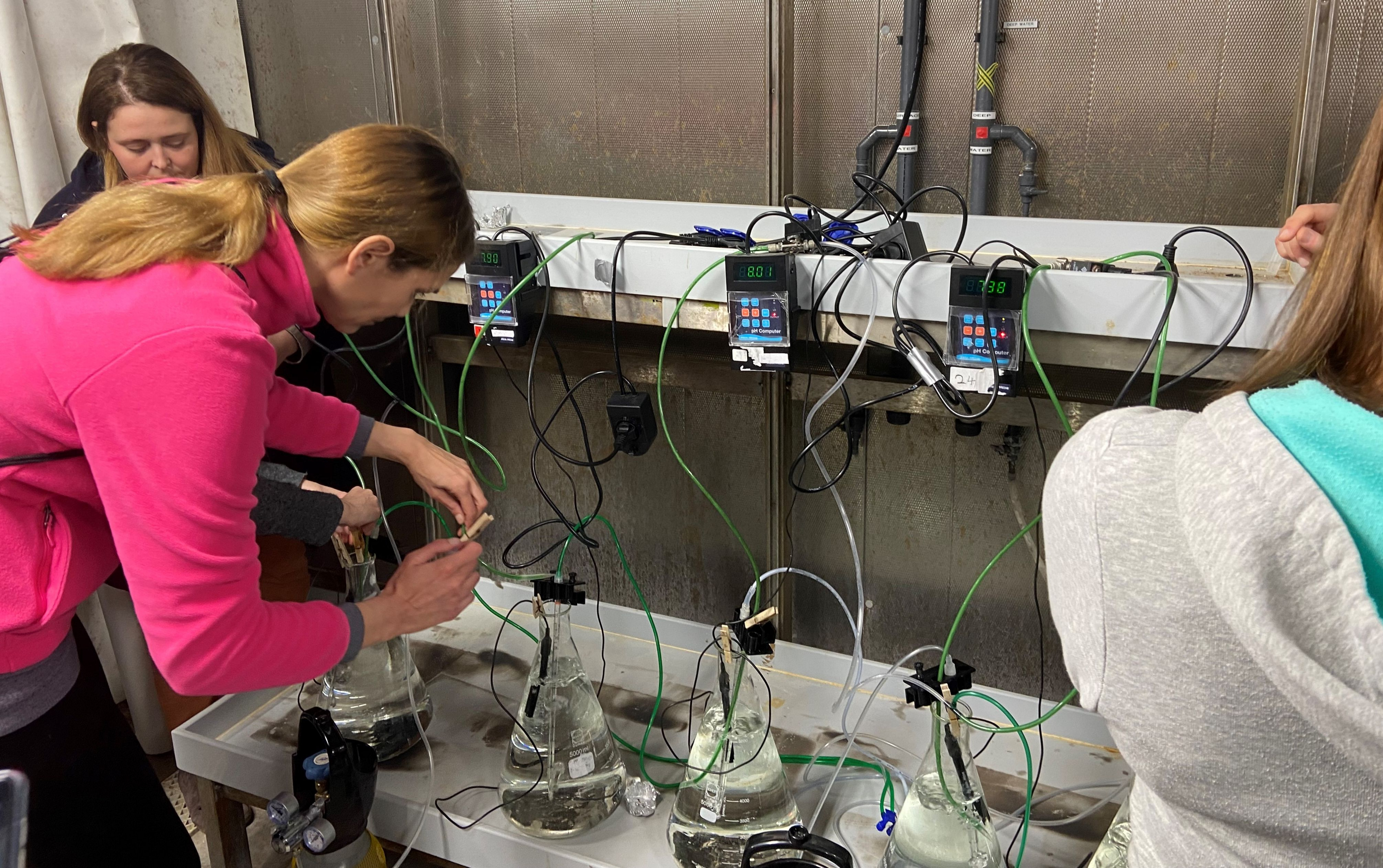 naml_sweden_course_ph_measurements2.jpg