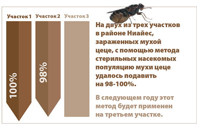 niyes-tsetse-rus-1140x420.jpg