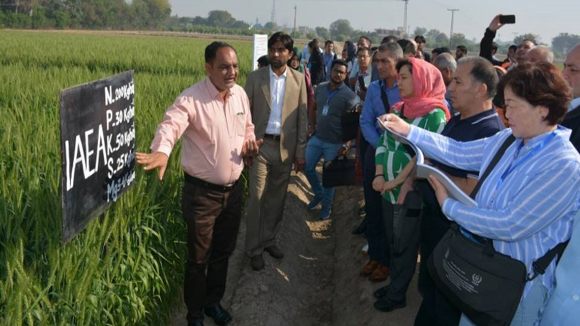 pakistan-soil-salinization-1140x640.jpg