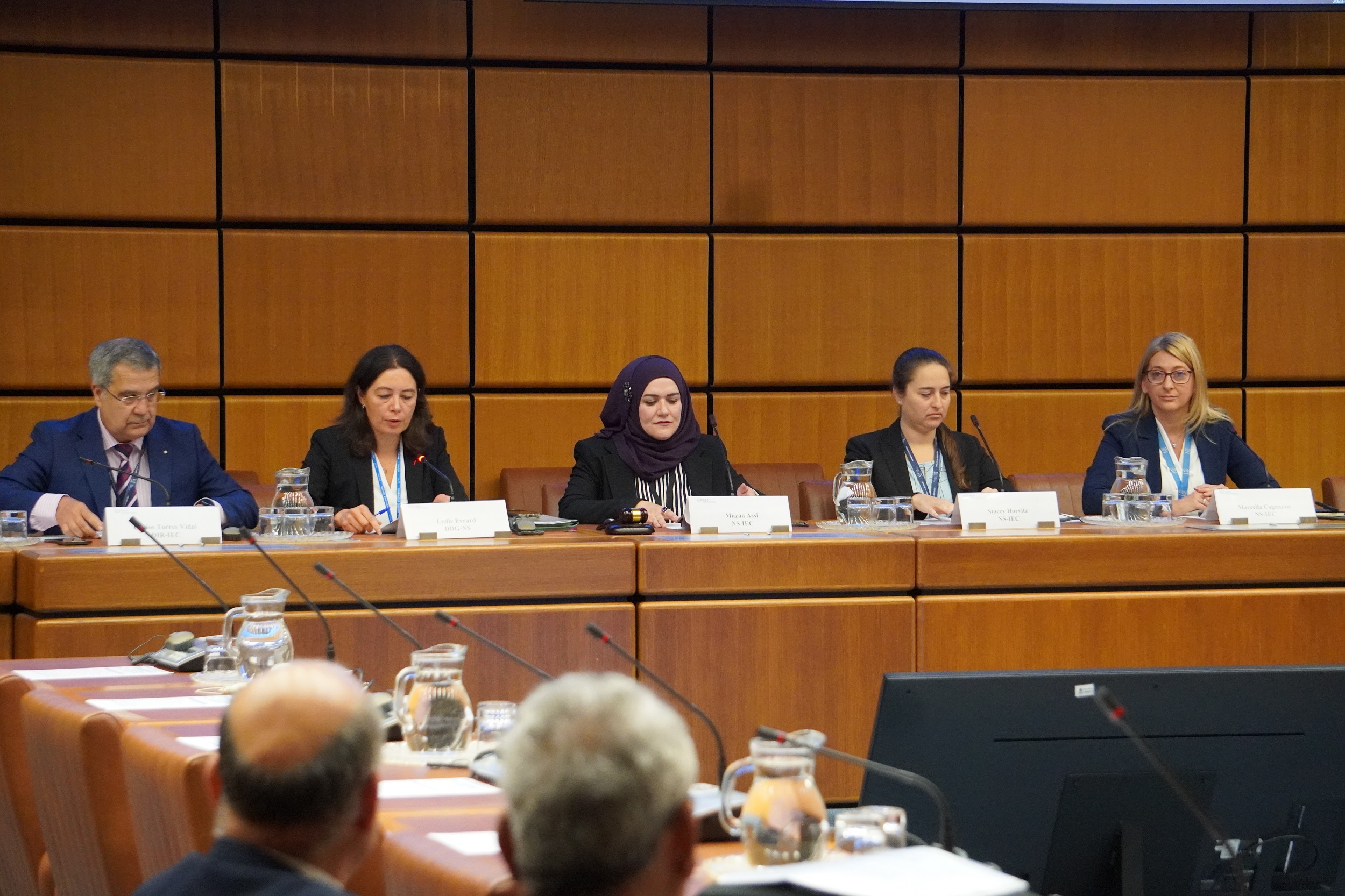panel_2_iec_gc67.jpg