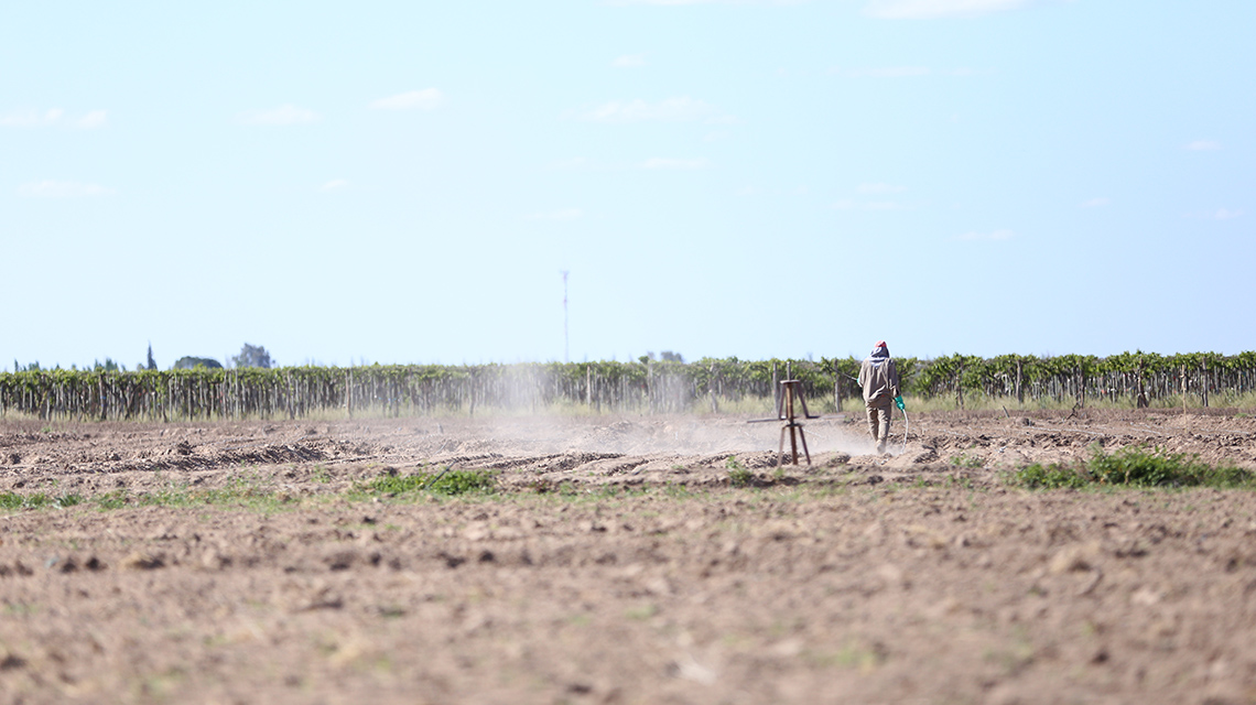 pesticide-spraying-1140x640.jpg